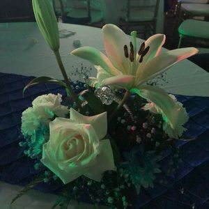 Meet your Posher, Araceli